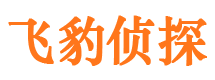 柳河市私人调查